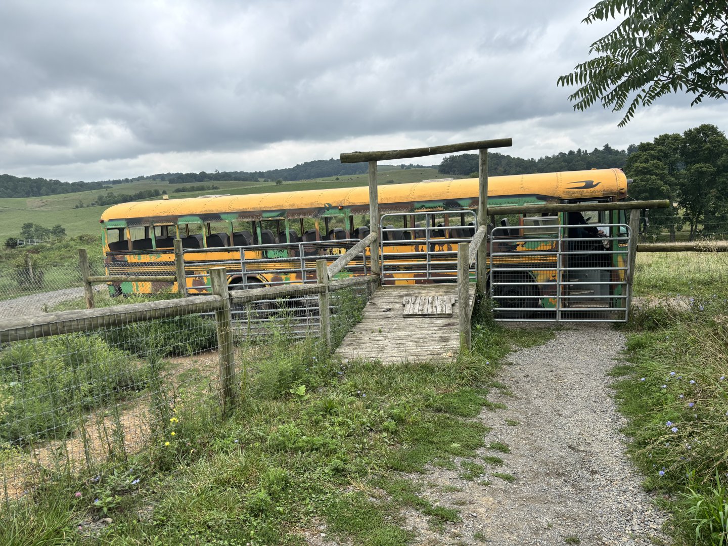 Fort Chiswell Animal Park- Safari Bus