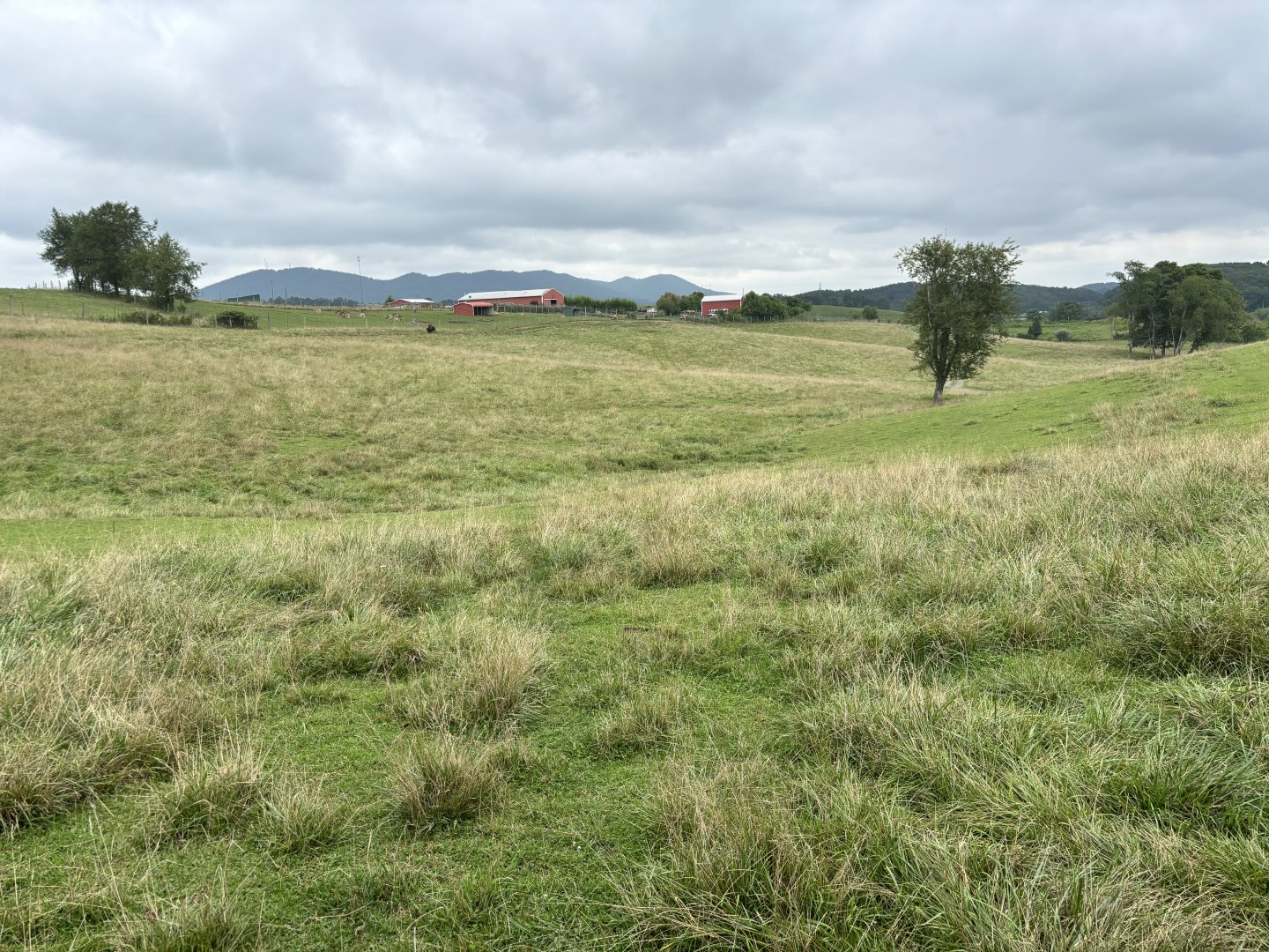 Fort Chiswell Animal Park- “The Outback”