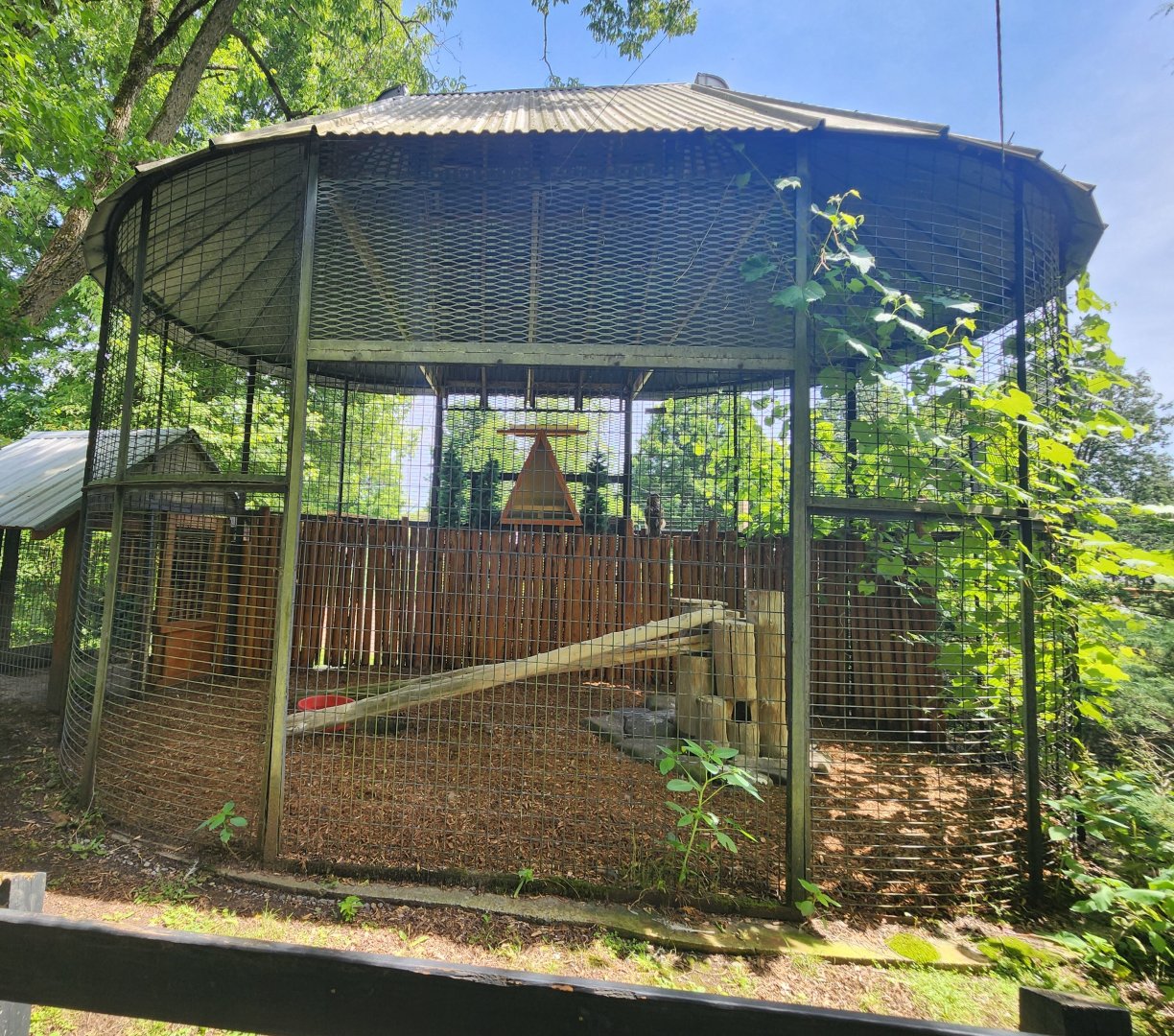 Fort Rickey Zoo - Eagle Owl enclosure