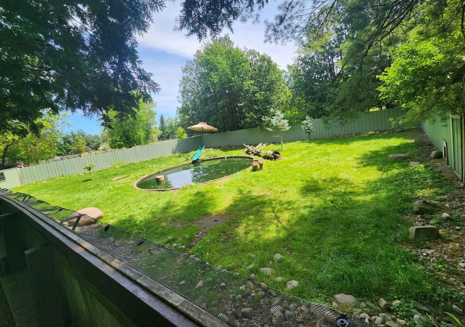 Fort Rickey Zoo - Otter exhibit