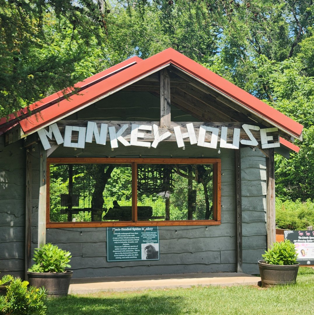 Fort Rickey Zoo - Spider monkey house