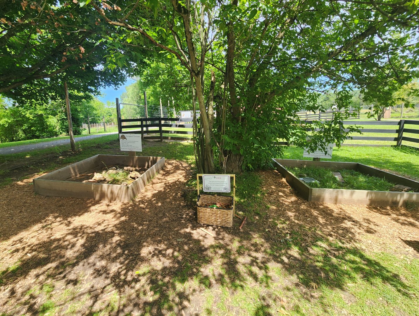 Fort Rickey Zoo - Tortoise enrichment pens