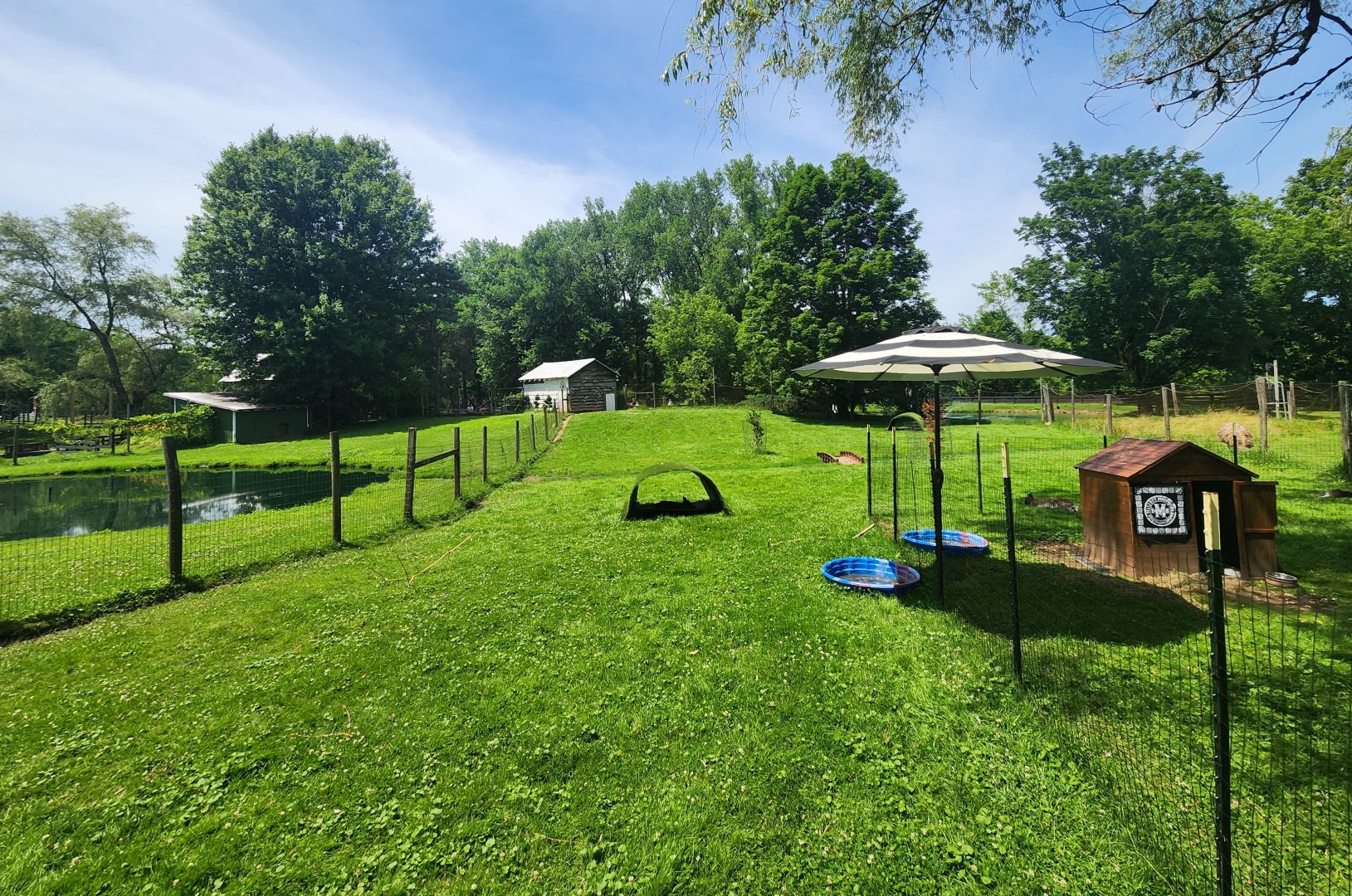 Fort Rickey Zoo - Wallaby yard