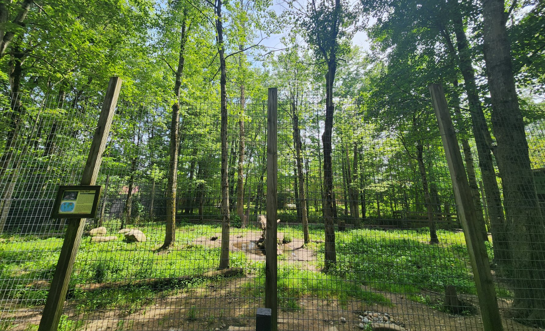 Fort Rickey Zoo - Wolf exhibit