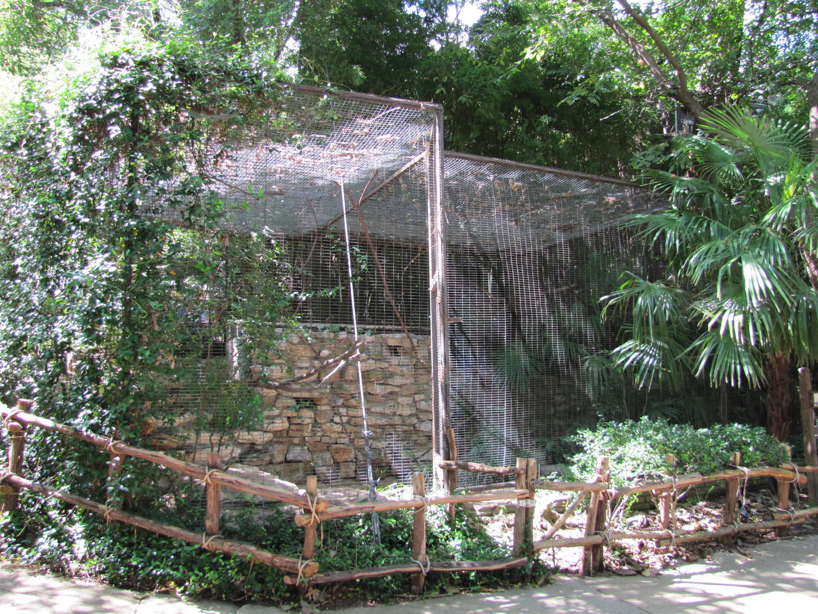 Fort Worth Zoo 2010 - Aviary for which species?