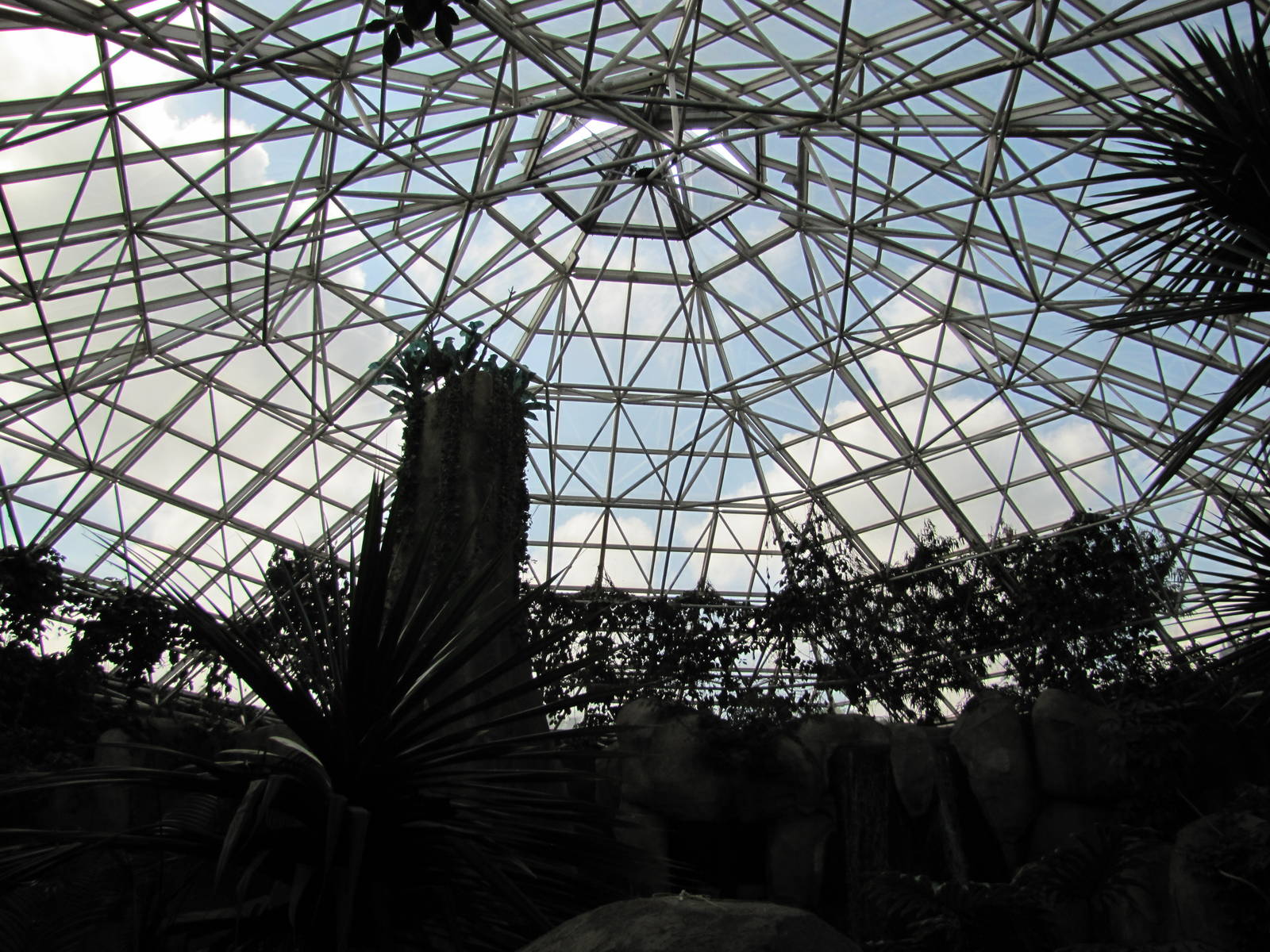 Fort Worth Zoo 2010 - Ceiling view inside World of Primates