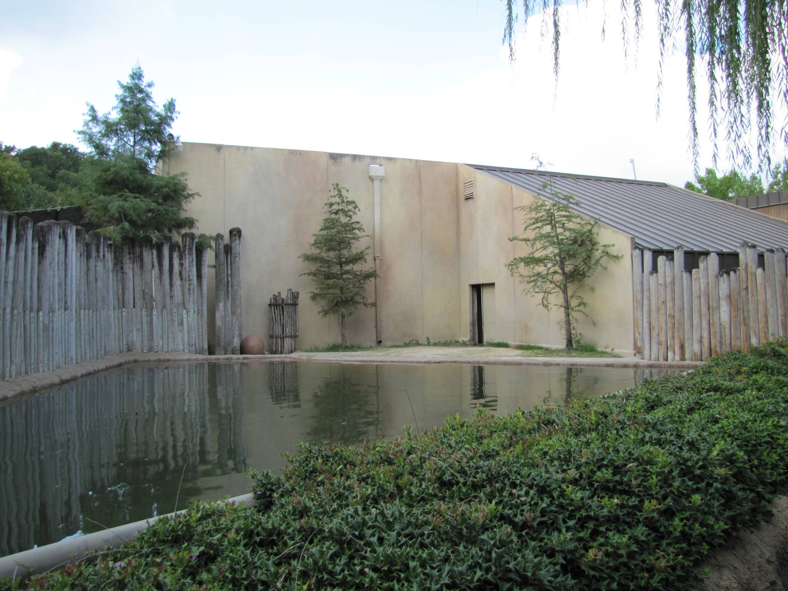 Fort Worth Zoo 2010 - Common Hippopotamus exhibit