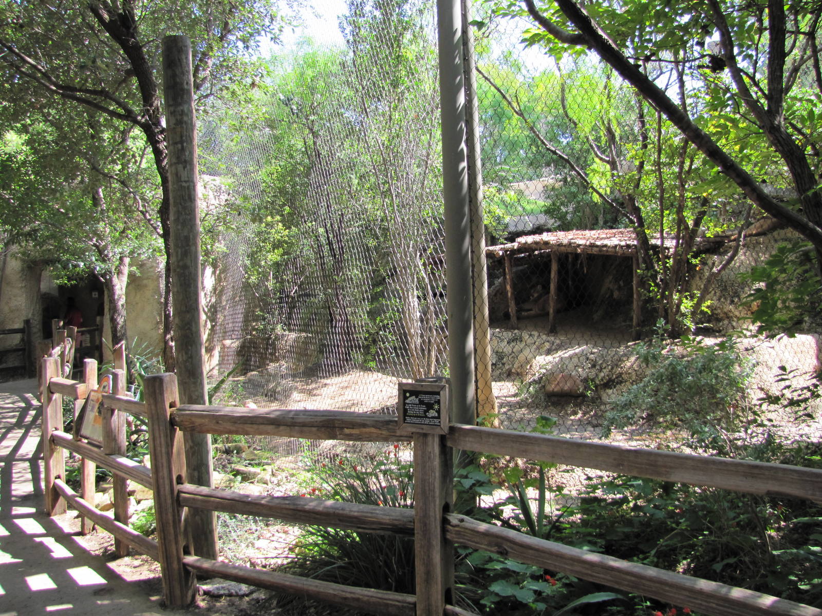 Fort Worth Zoo 2010 - Cougar exhibit in Texas Wild
