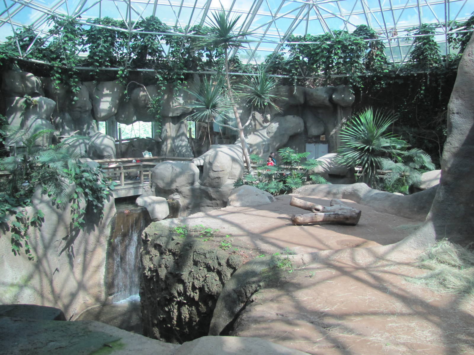 Fort Worth Zoo 2010 - Different part of Gorilla indoor exhibit in World of