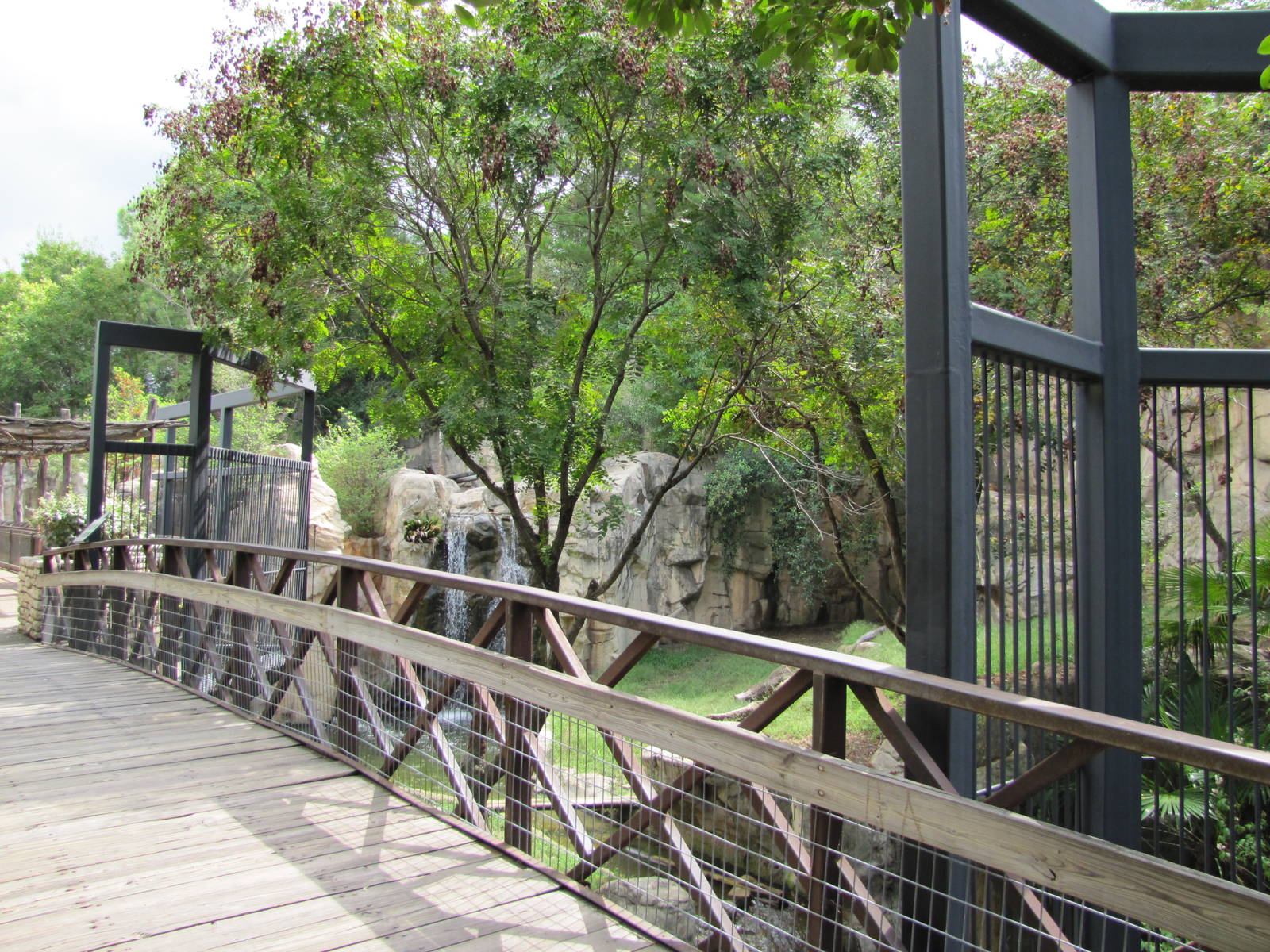 Fort Worth Zoo 2010 - Front of the Tiger exhibit in Asian Falls