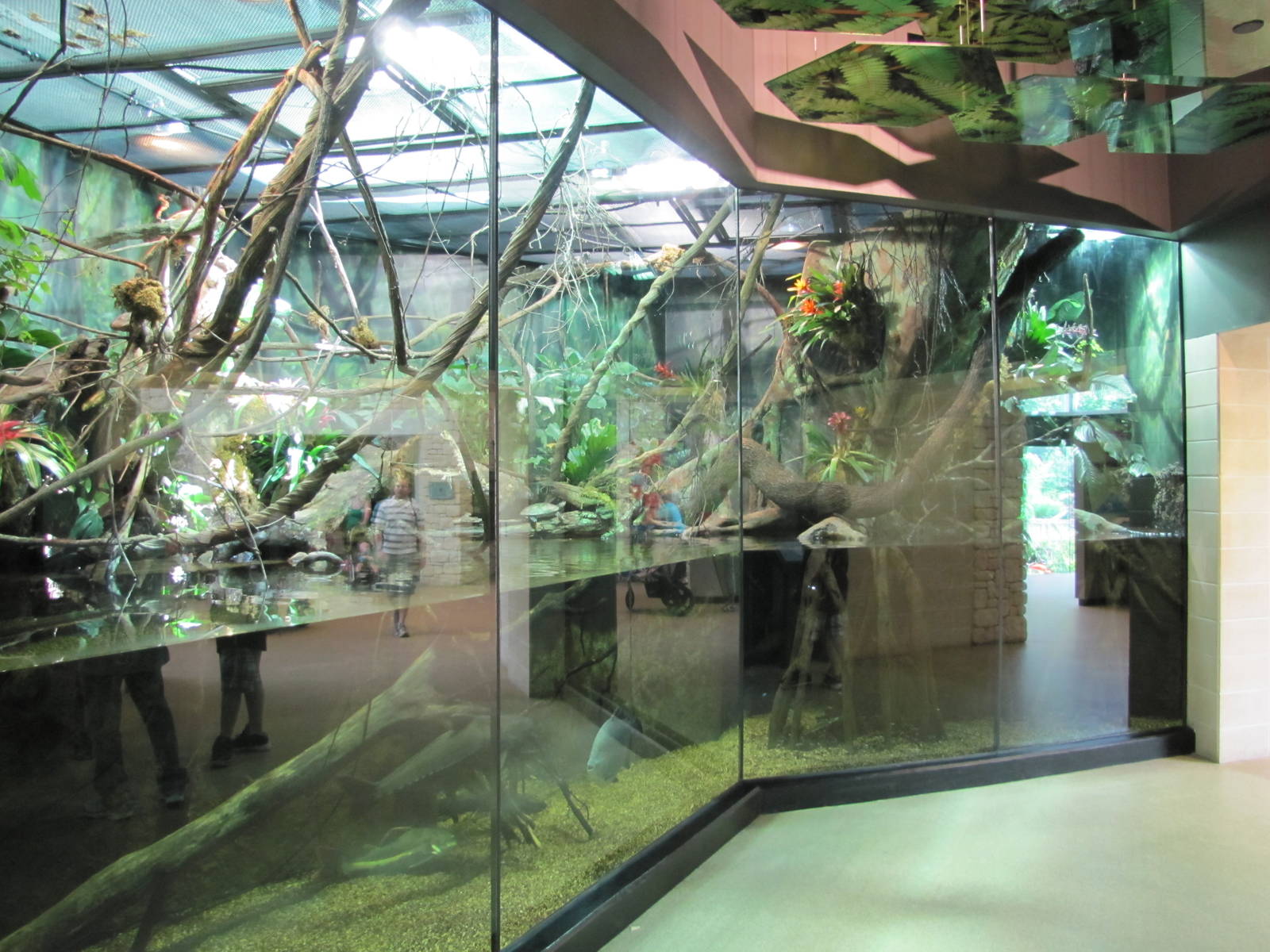 Fort Worth Zoo 2010 - General view inside the Museum of Living Art