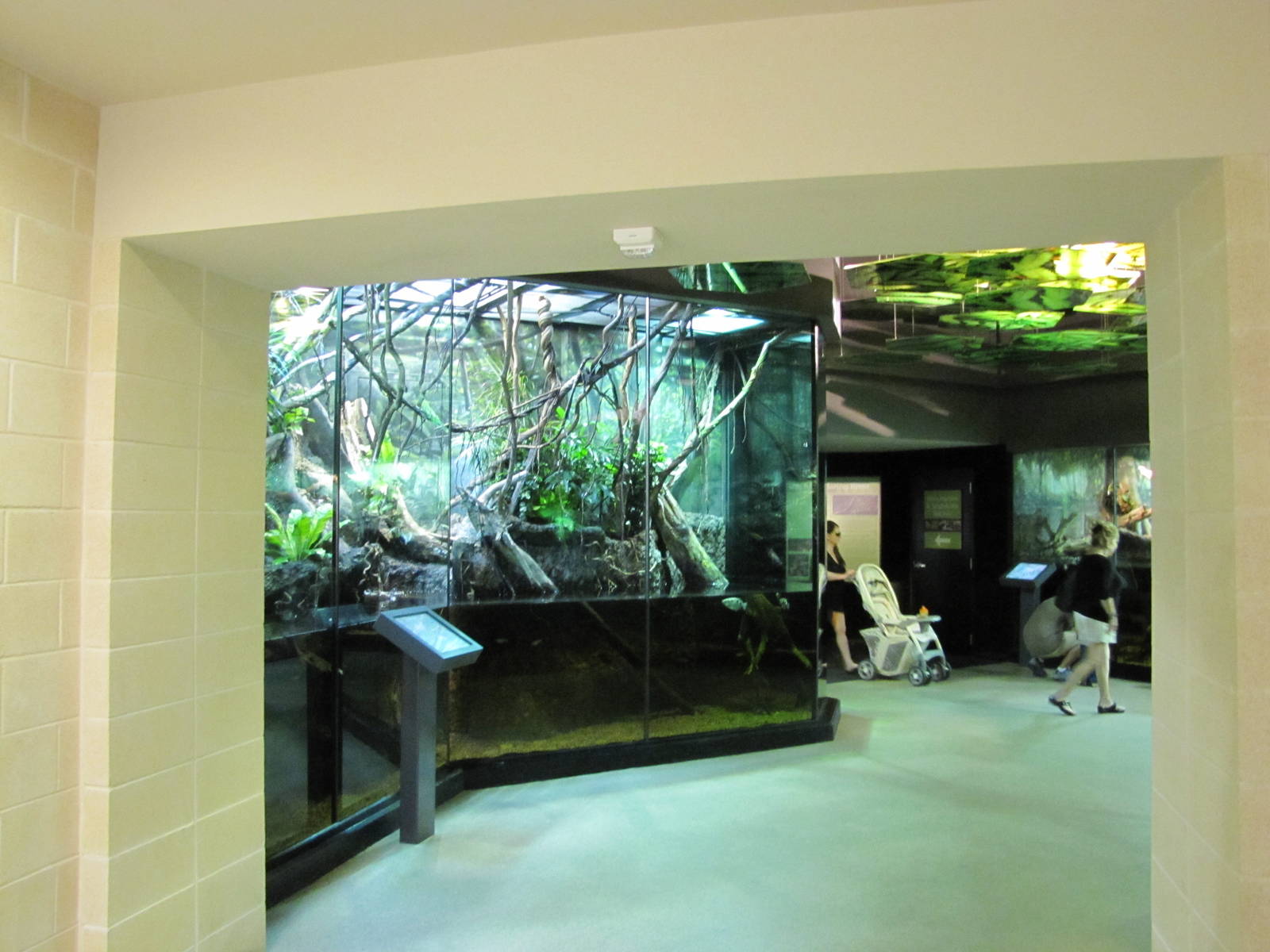 Fort Worth Zoo 2010 - General view inside the Museum of Living Art