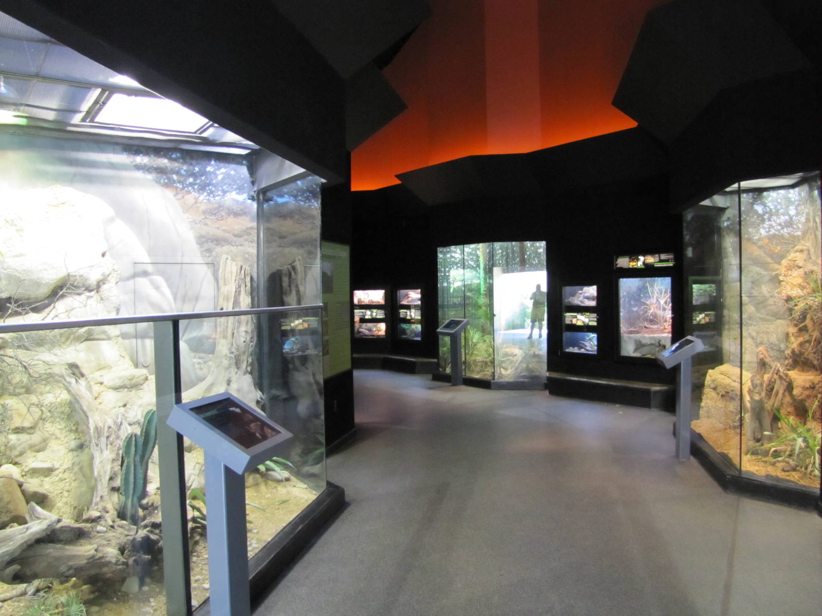 Fort Worth Zoo 2010 - General view inside the Museum of Living Art