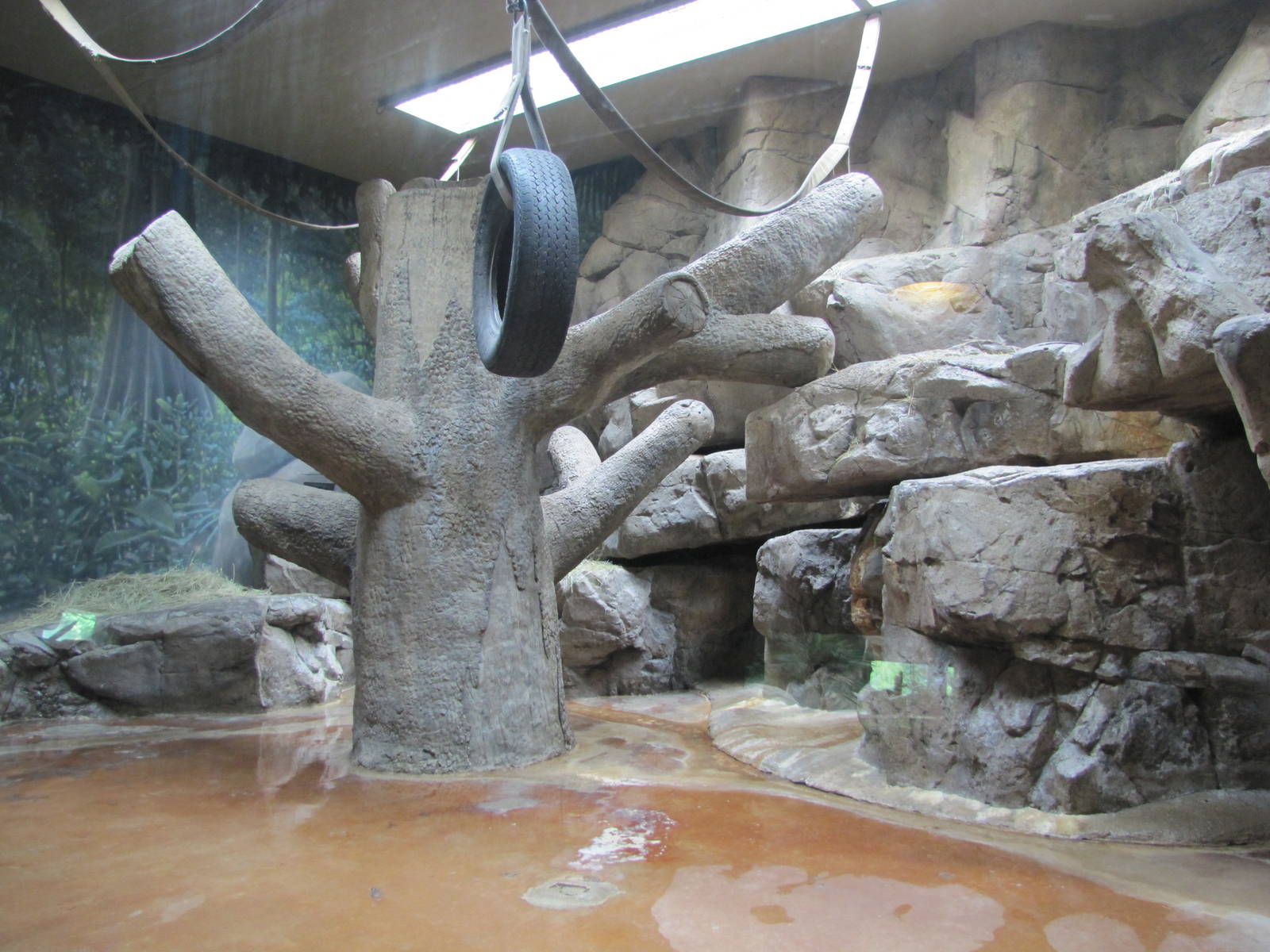 Fort Worth Zoo 2010 - Indoor exhibit in World of Primates