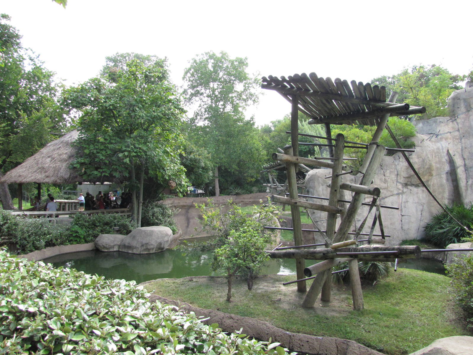 Fort Worth Zoo 2010 - Left part of the Bonobo exhibit in World of Primates