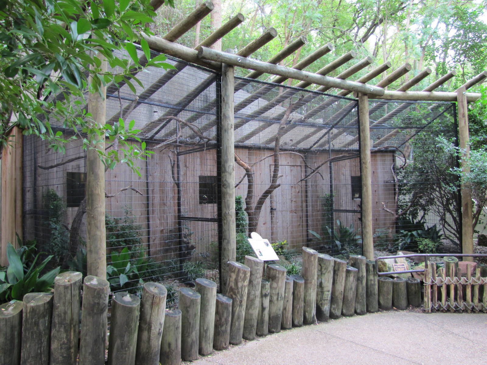 Fort Worth Zoo 2010 - Lesser Bird of Paradise aviary in Asian Falls