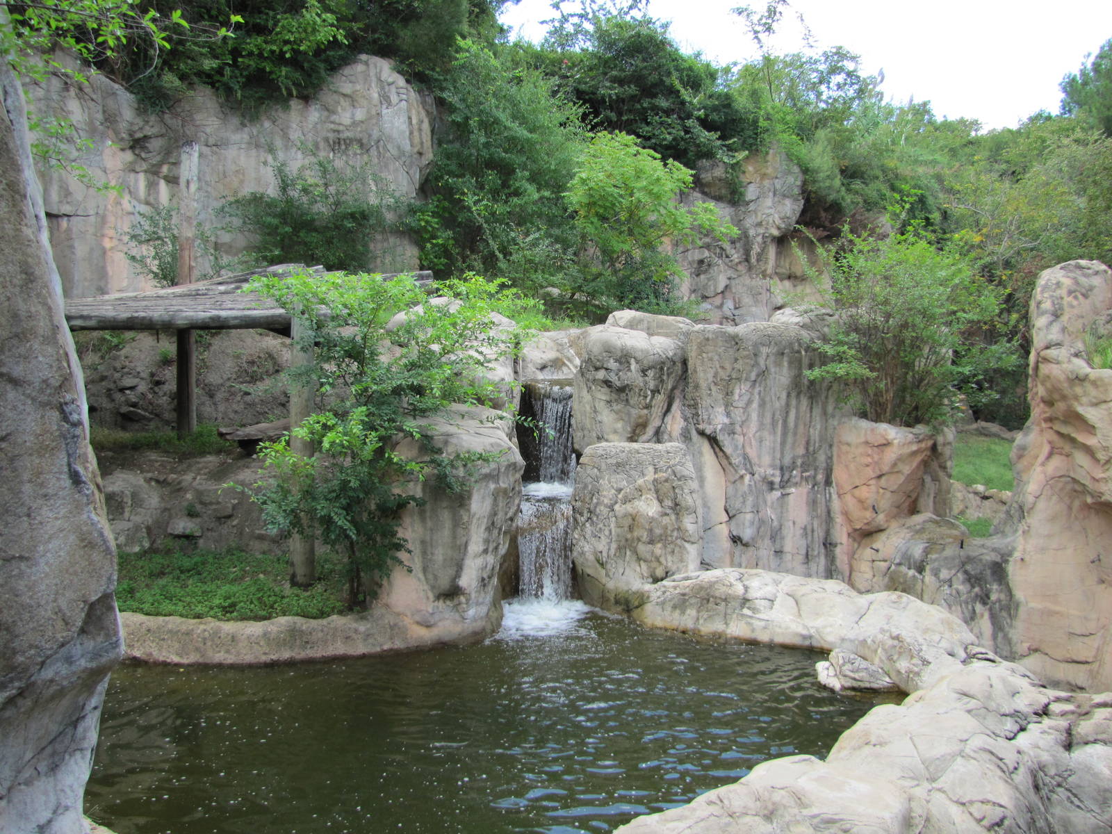 Fort Worth Zoo 2010 - Malayan Sun Bear exhibit in Asian Falls