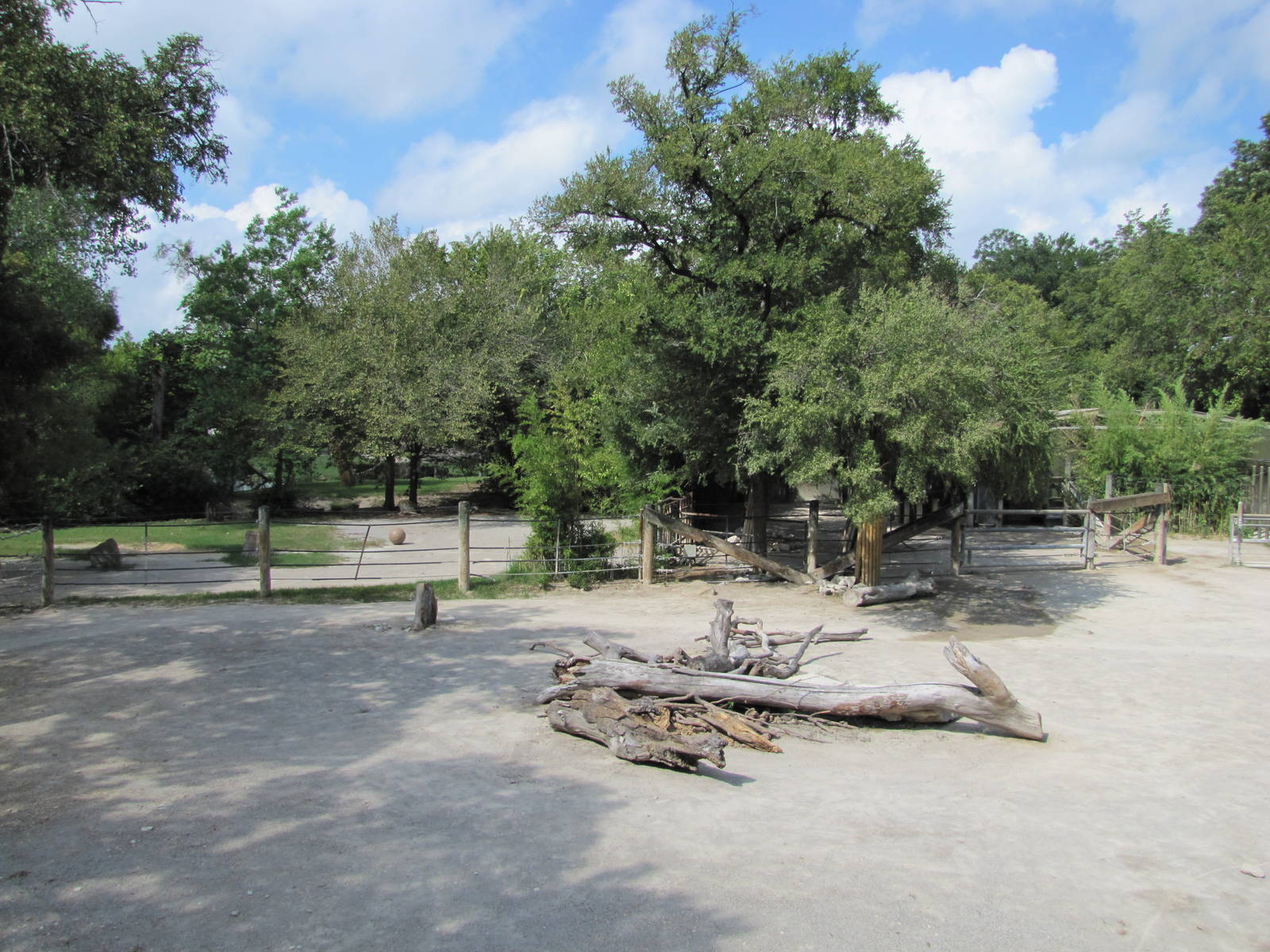 Fort Worth Zoo 2010 - Part of the Black Rhinoceros exhibit