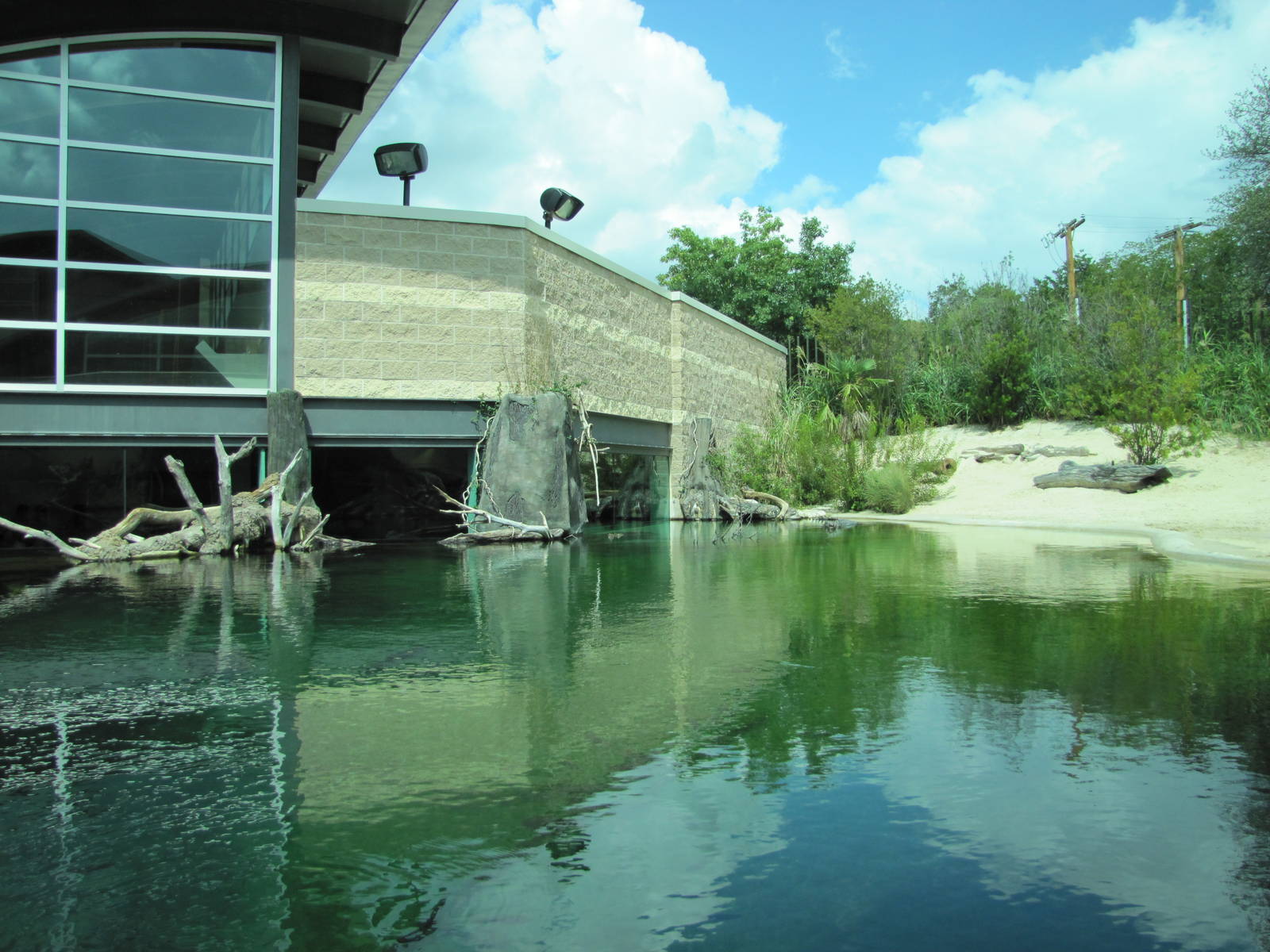 Fort Worth Zoo 2010 - Part of the Gharial exhibit at the Museum of Living A