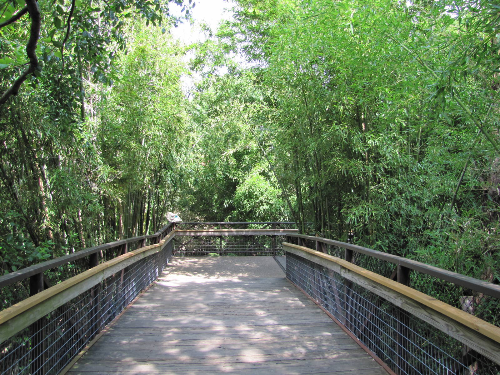 Fort Worth Zoo 2010 - Passage in Asian Falls