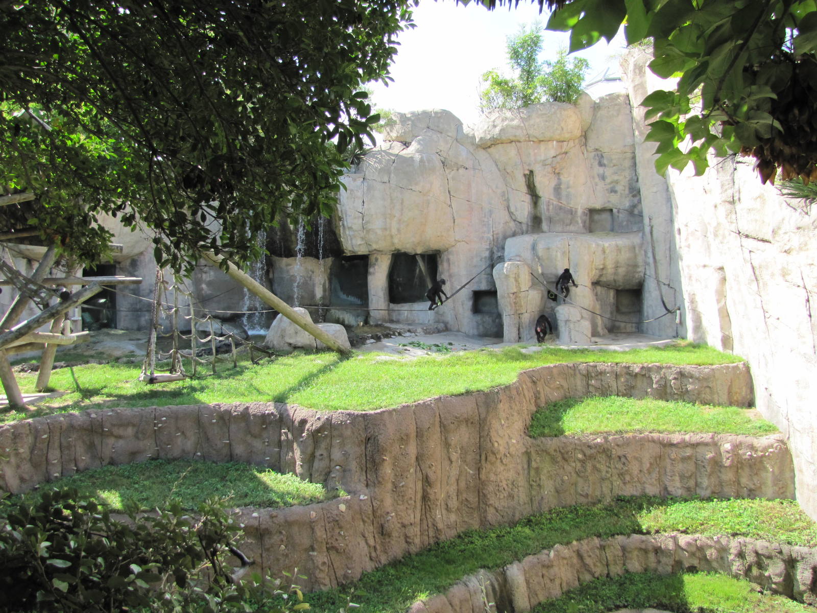 Fort Worth Zoo 2010 - Right part of the Bonobo exhibit in World of Primates