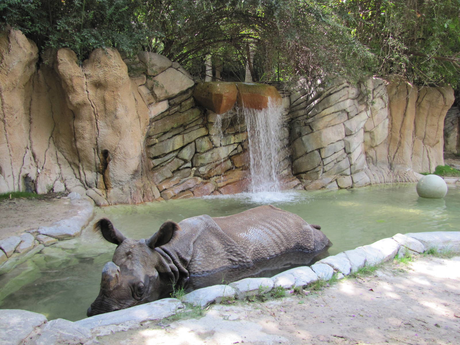 Fort Worth Zoo 2010 - Second Indian Rhinoceros exhibit in Asian Falls