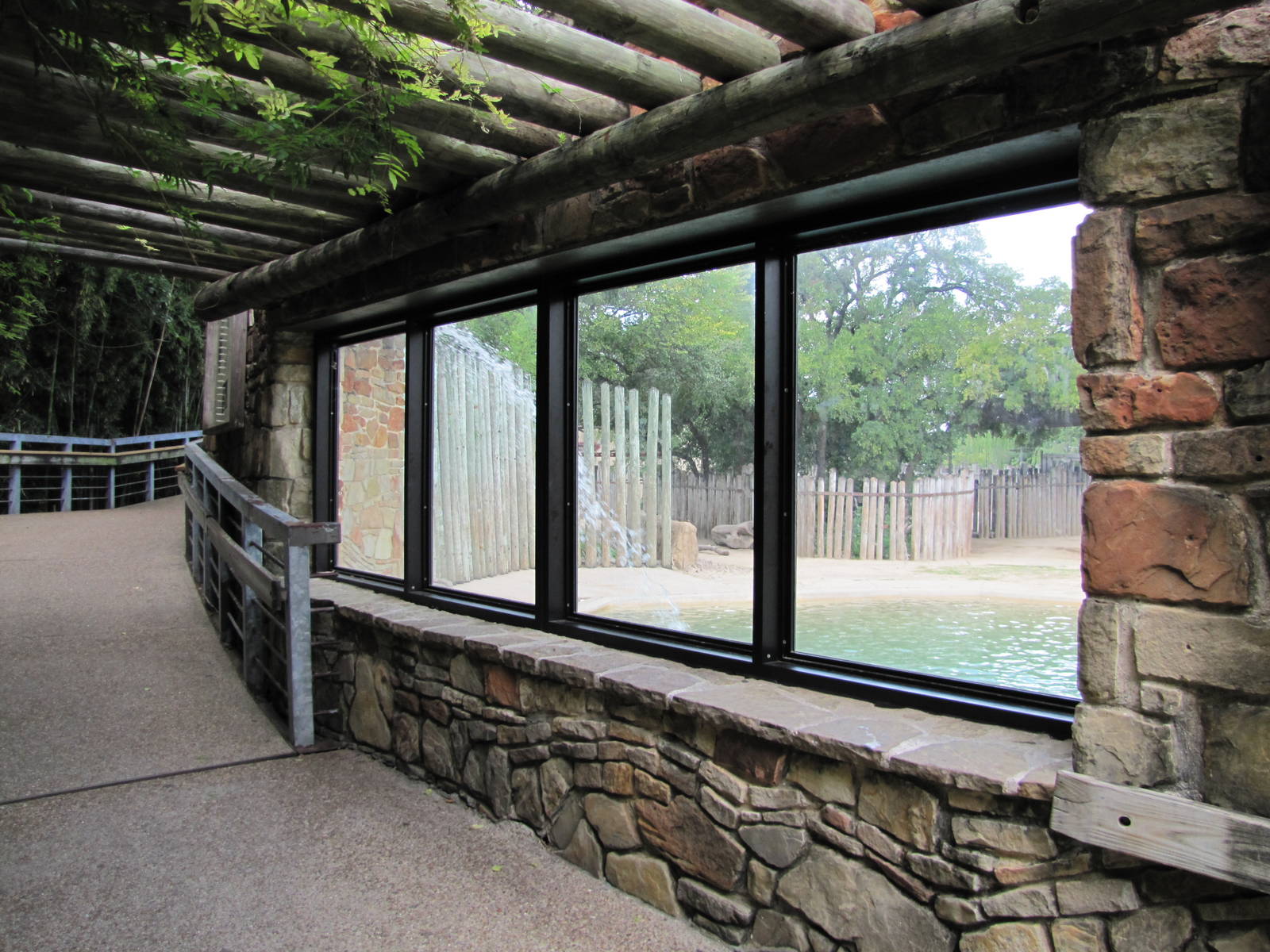 Fort Worth Zoo 2010 - Viewing window into the Asiatic Elephant exhibit in A