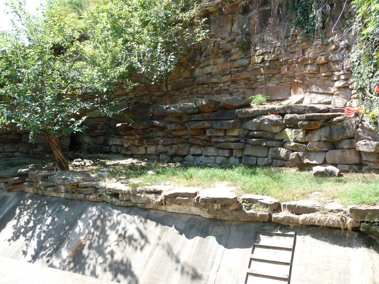 Fort Worth Zoo - Lion Exhibit