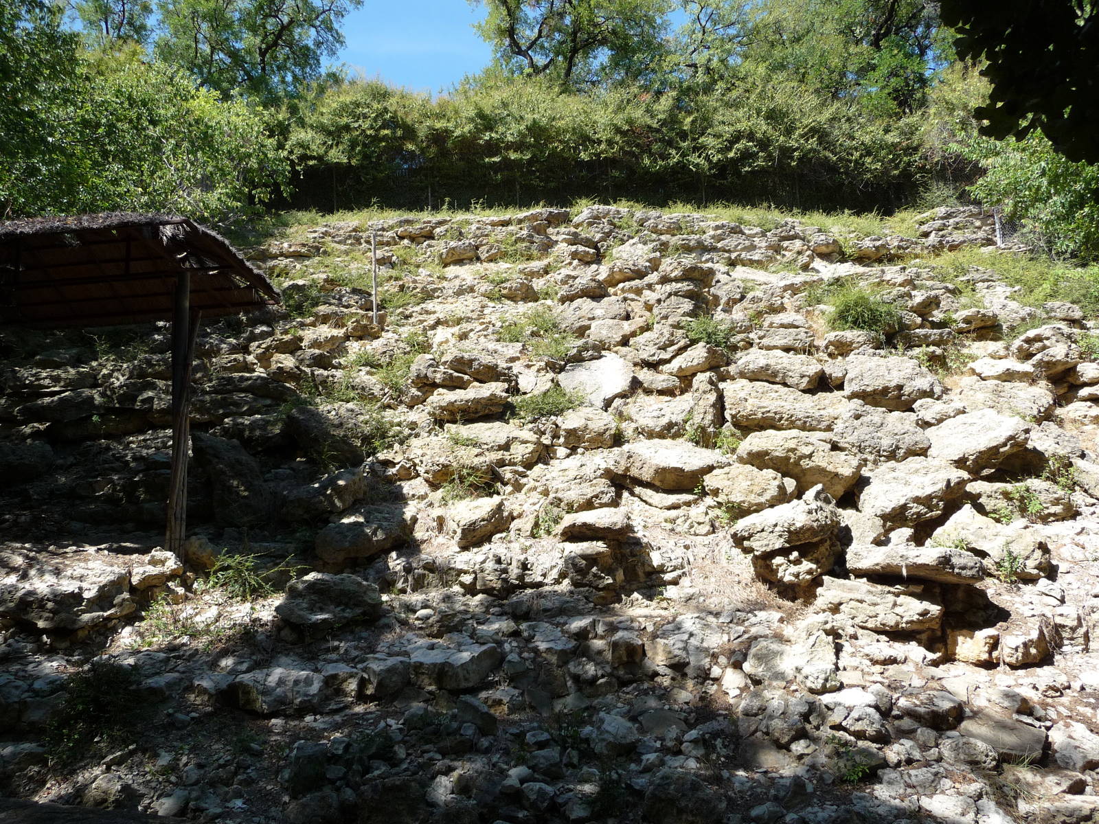 Fort Worth Zoo - Nubian Ibex Exhibit