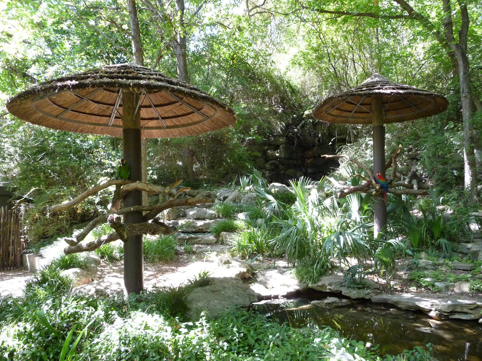 Fort Worth Zoo - Outdoor Macaw Exhibit