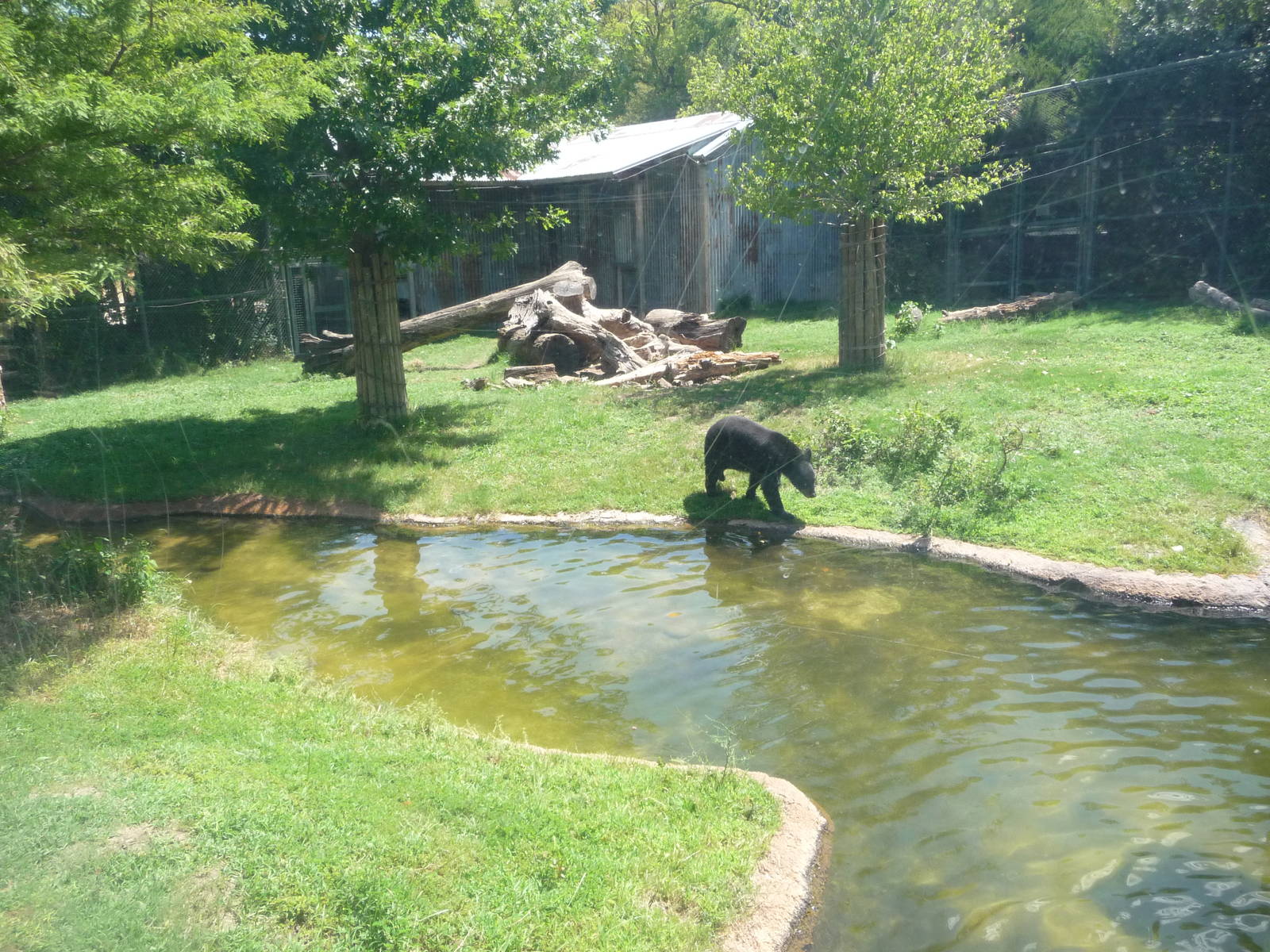 Fort Worth Zoo - Texas Wild!
