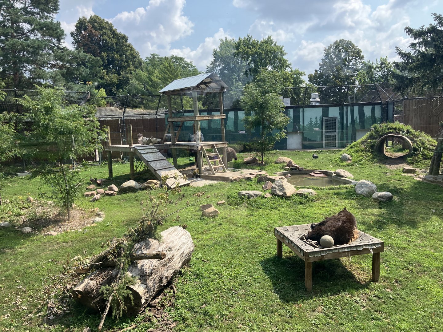 Fortress of the Bear - American Black Bear Exhibit
