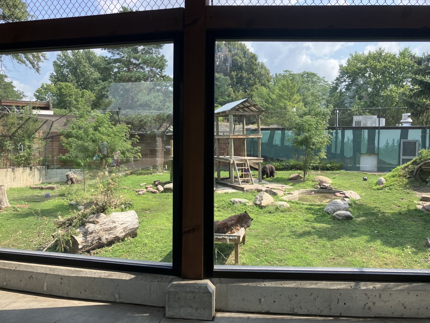 Fortress of the Bear - American Black Bear Exhibit
