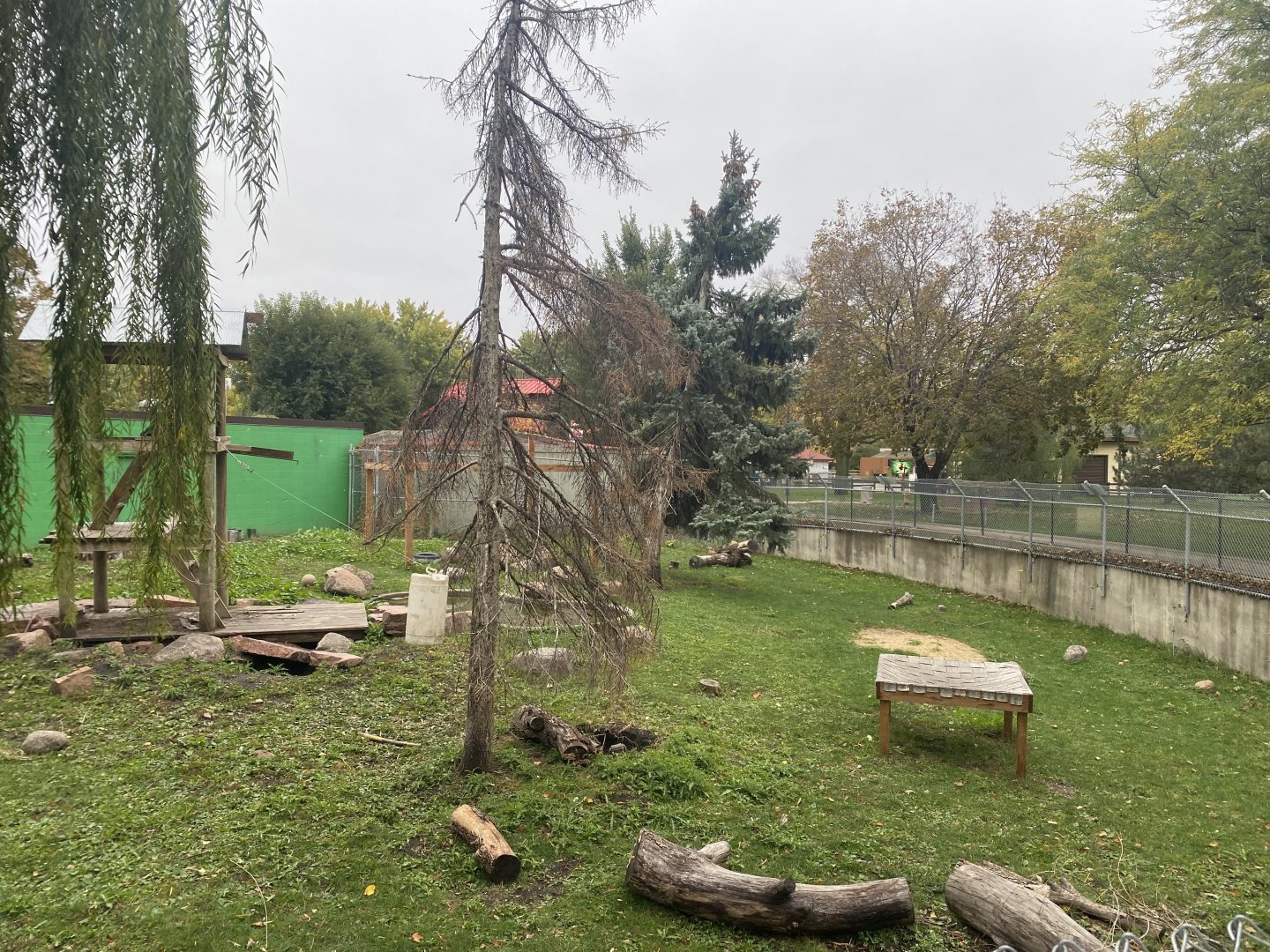 Fortress of the Bears - American Black Bear Exhibit
