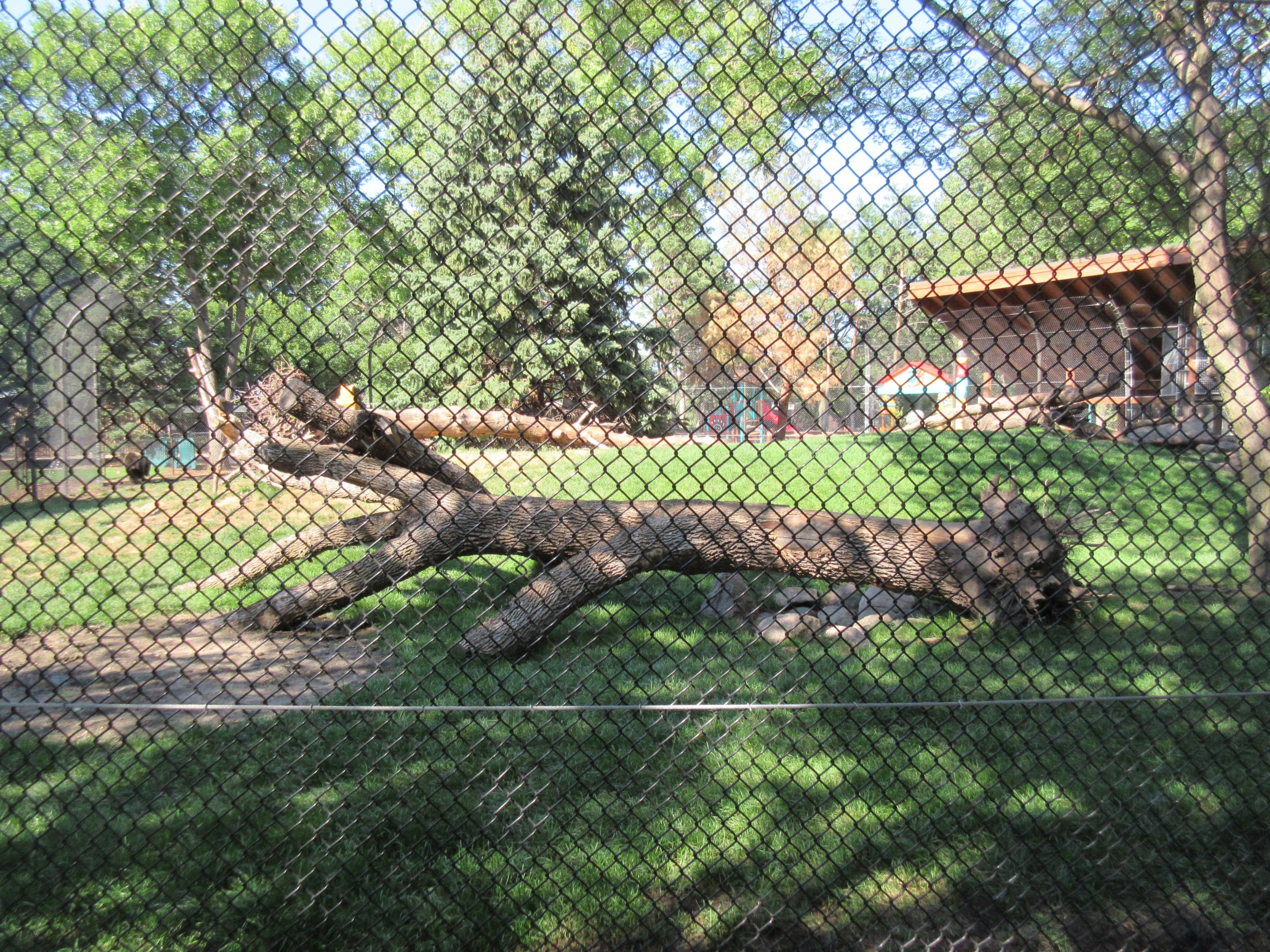 Fortress of the Bears: Grizzlies (New in 2018)