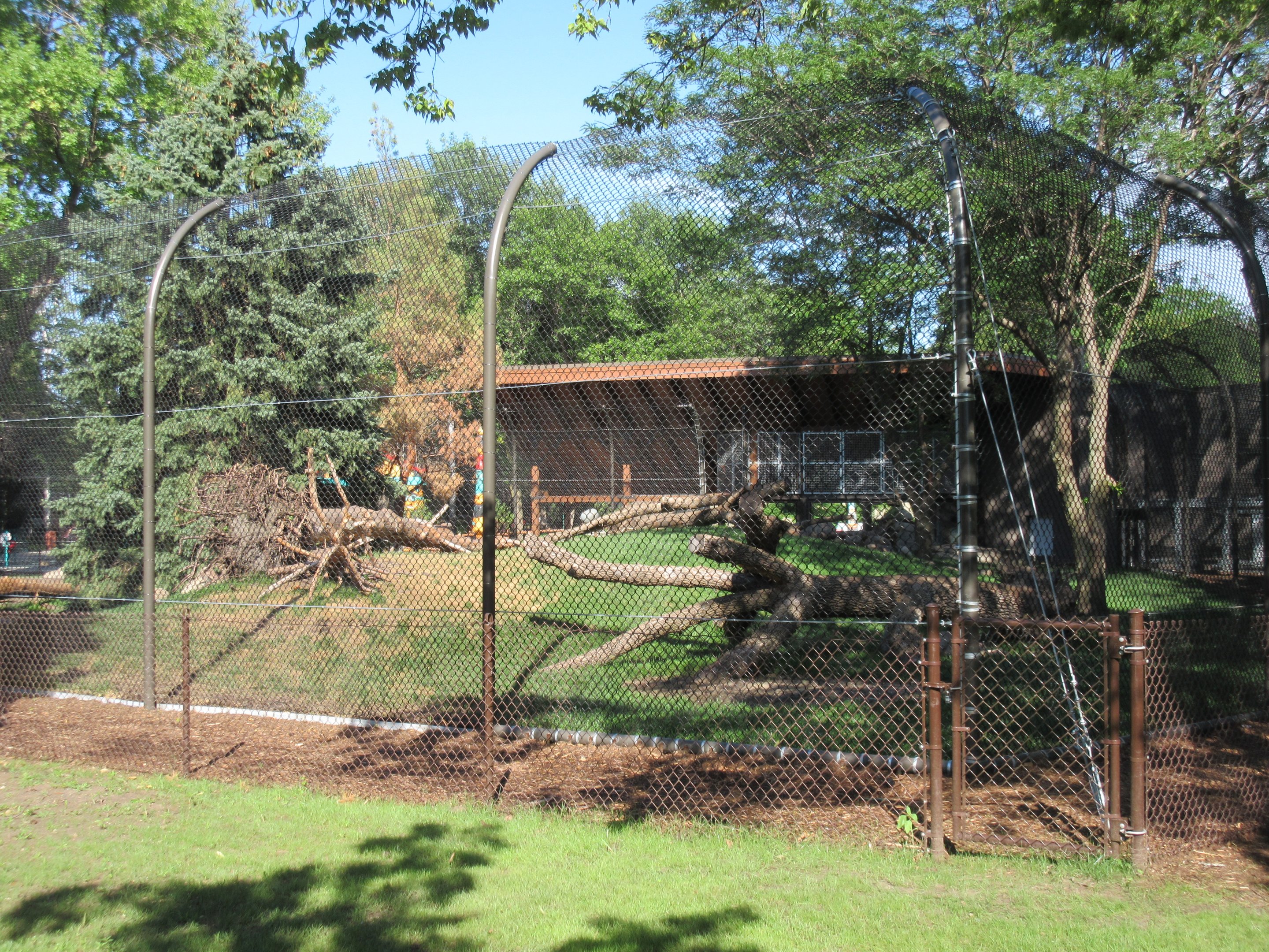 Fortress of the Bears: Grizzlies (New in 2018)