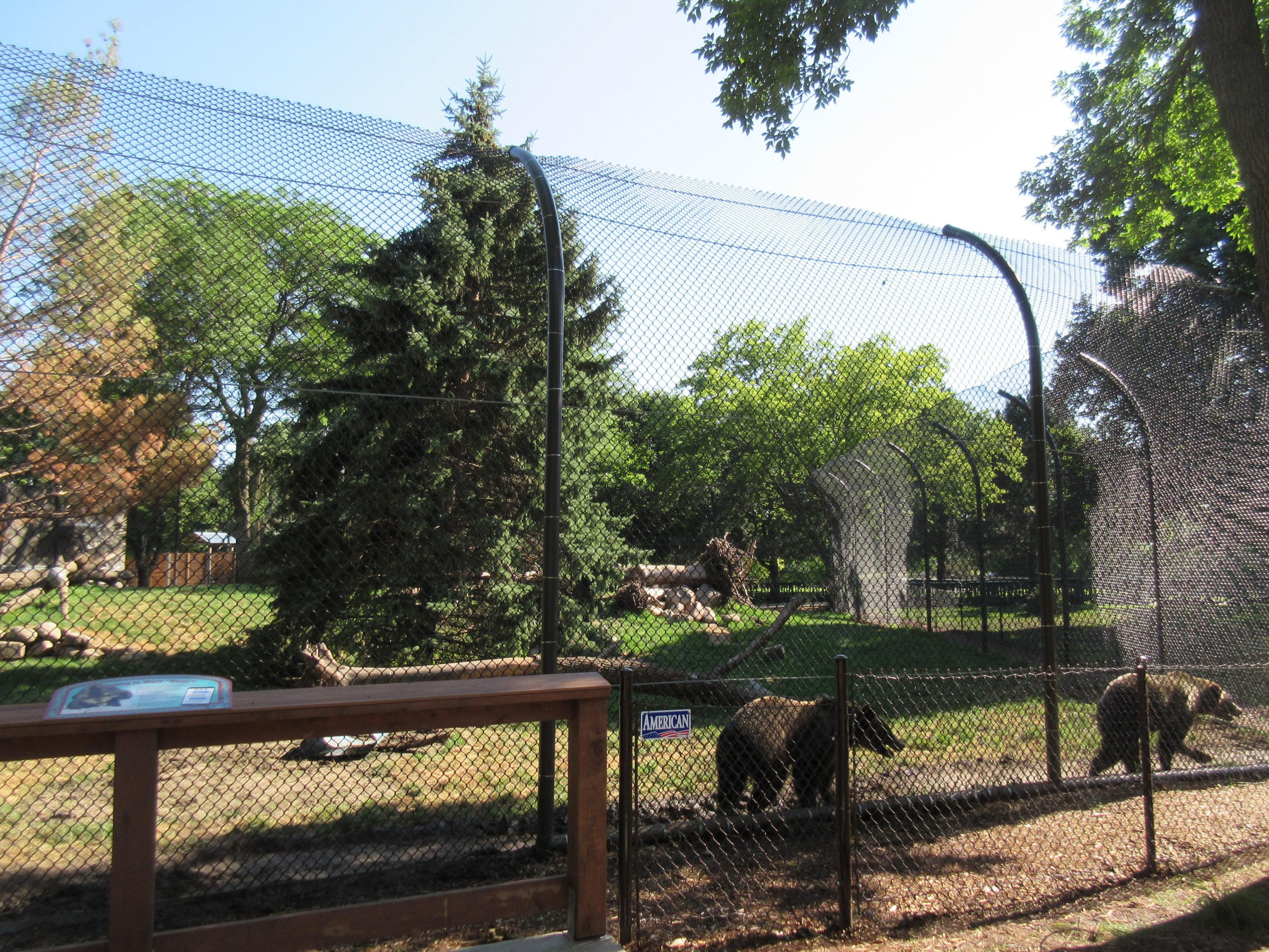 Fortress of the Bears: Grizzlies (New in 2018)