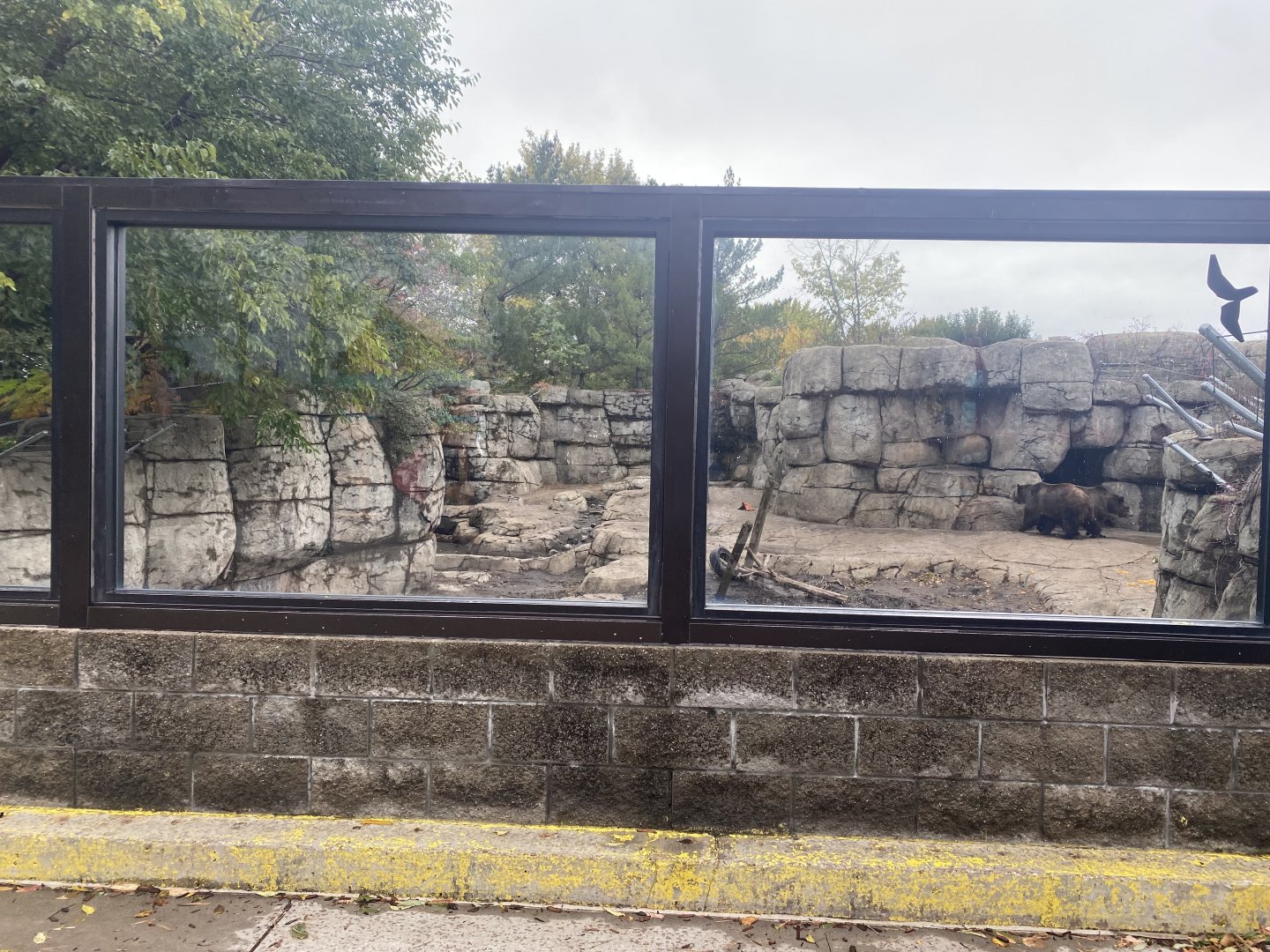 Fortress of the Bears - Grizzly Bear Exhibit #1