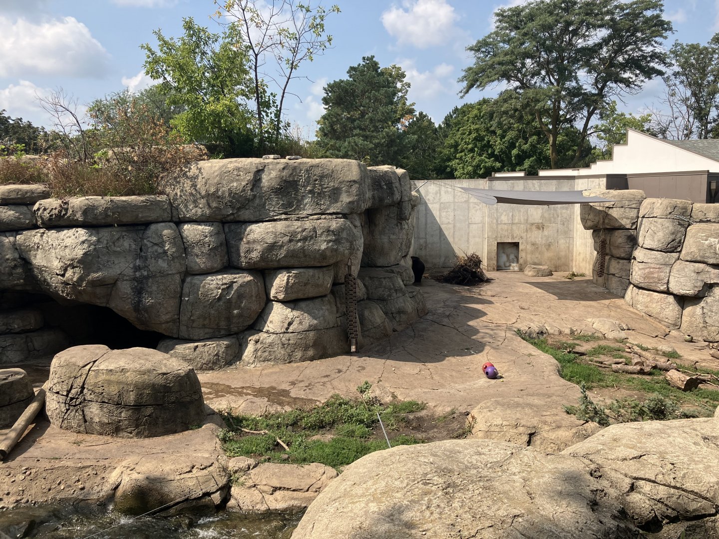 Fortress of the Bears - Grizzly Bear Exhibit #1