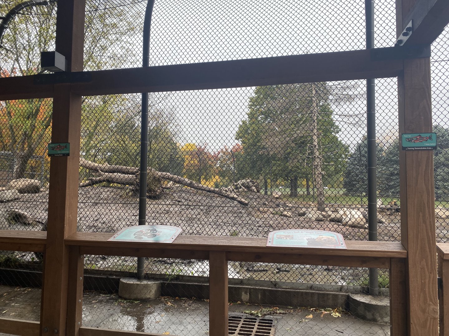 Fortress of the Bears- Grizzly Bear Exhibit #2