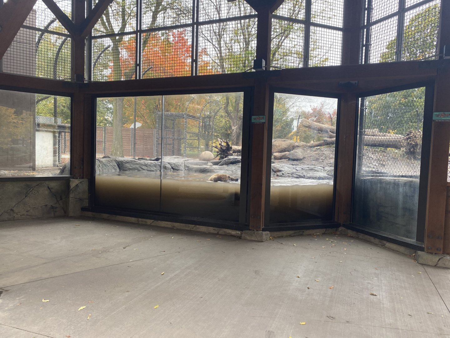 Fortress of the Bears- Grizzly Bear Exhibit #2