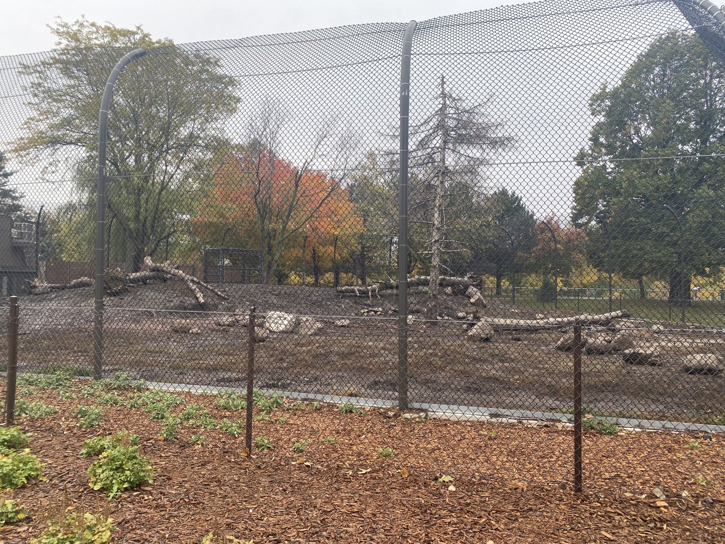 Fortress of the Bears - Grizzly Bear Exhibit #2
