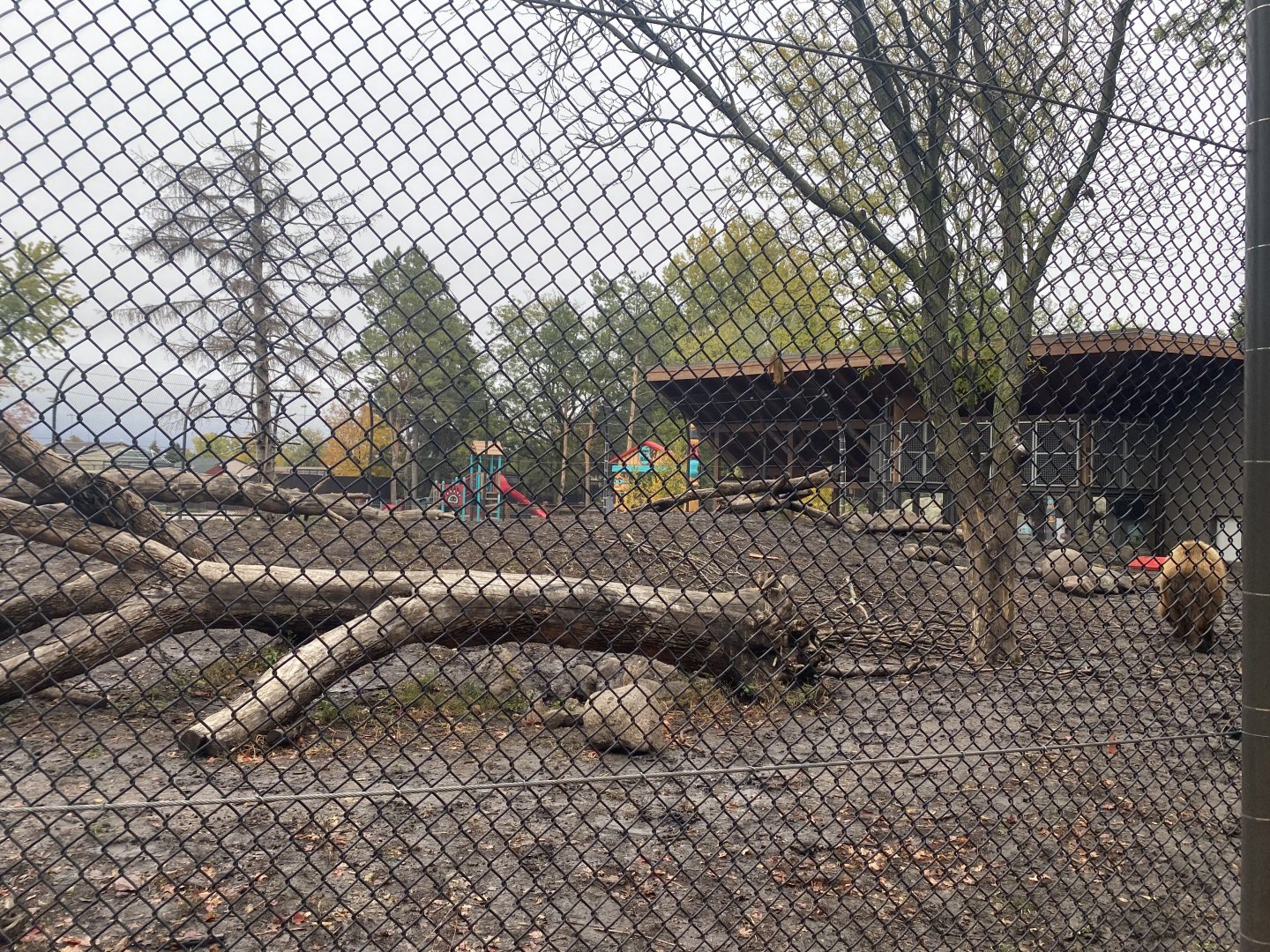 Fortress of the Bears - Grizzly Bear Exhibit #2