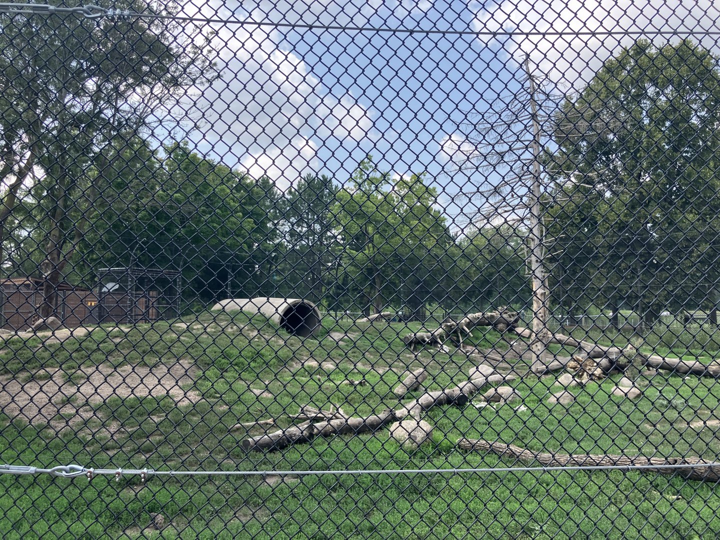Fortress of the Bears - Grizzly Bear Exhibit #2