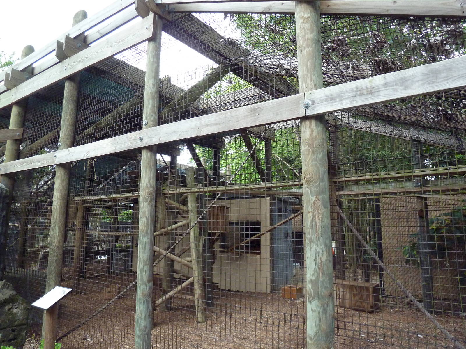 Fosa Exhibit