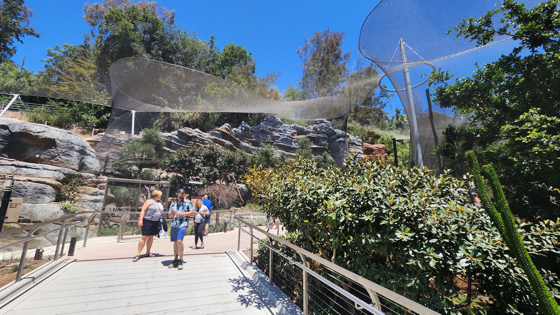 Fossa and Lemur Exhibits