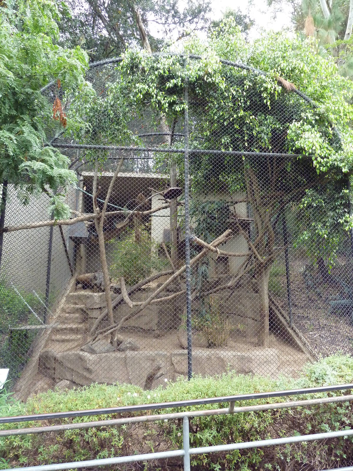 Fossa Cage