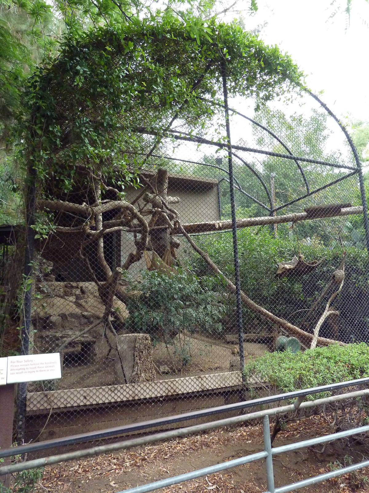 Fossa Cage