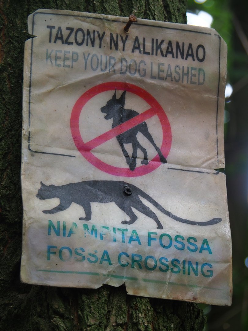 Fossa crossing sign, 2019-08-11