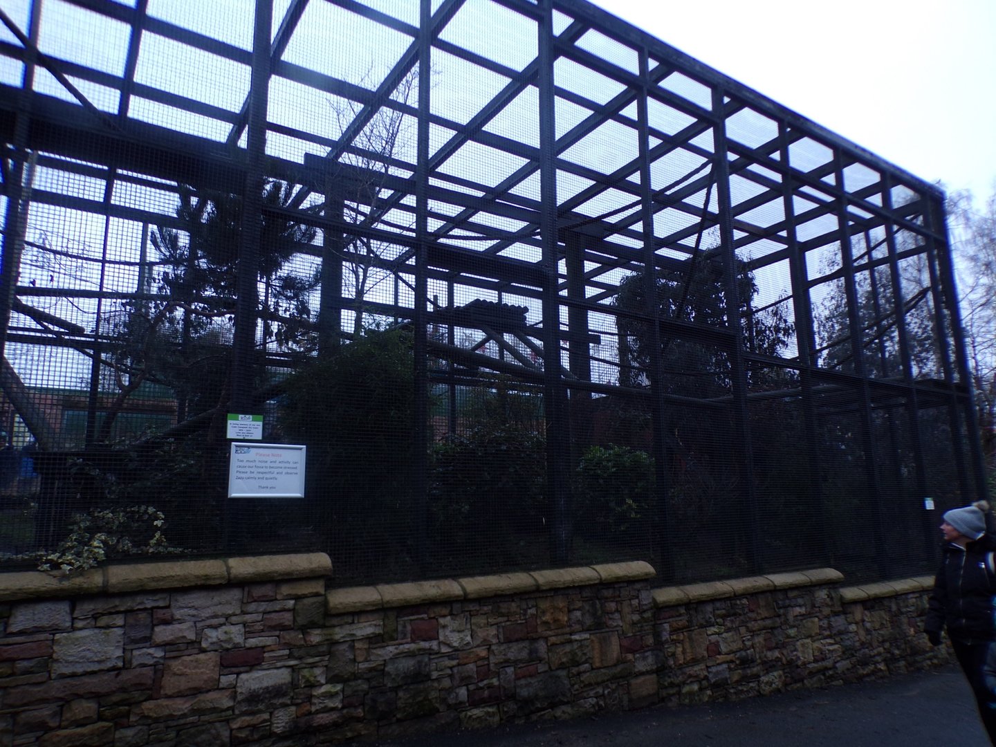 Fossa enclosure 1.1.23